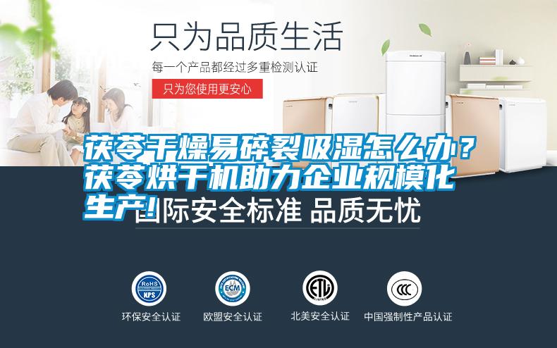 茯苓干燥易碎裂吸濕怎么辦？茯苓烘干機(jī)助力企業(yè)規(guī)模化生產(chǎn)!