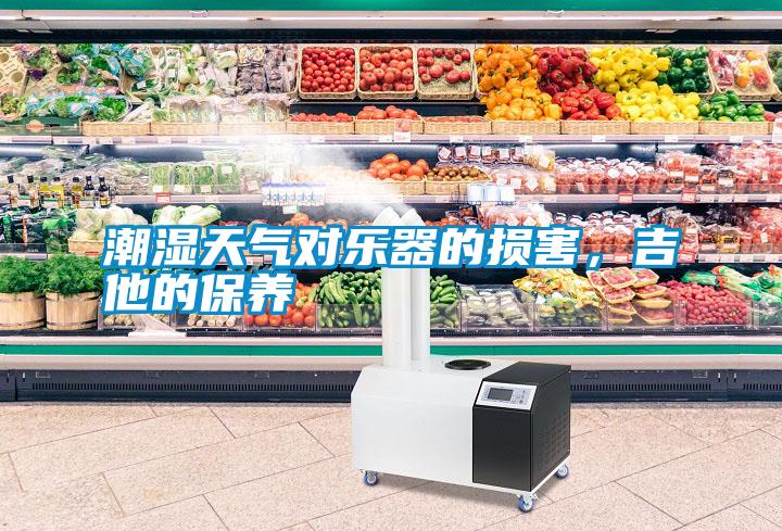 潮濕天氣對樂器的損害，吉他的保養