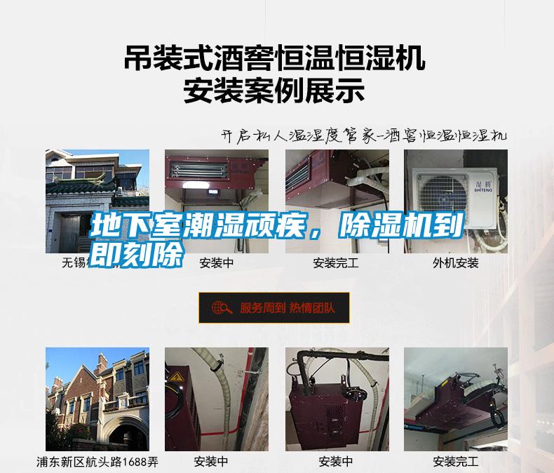 地下室潮濕頑疾，除濕機到即刻除