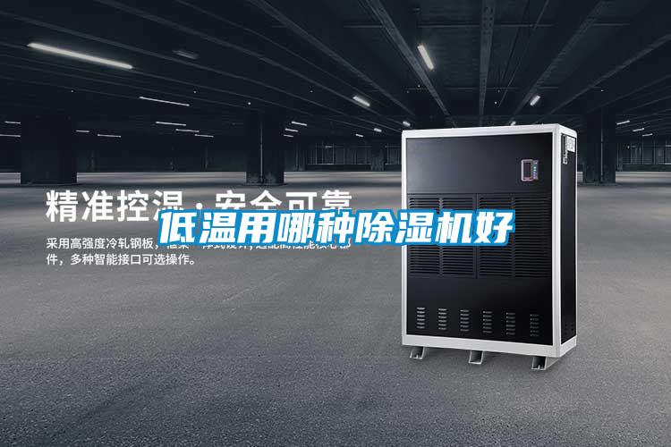 低溫用哪種除濕機(jī)好