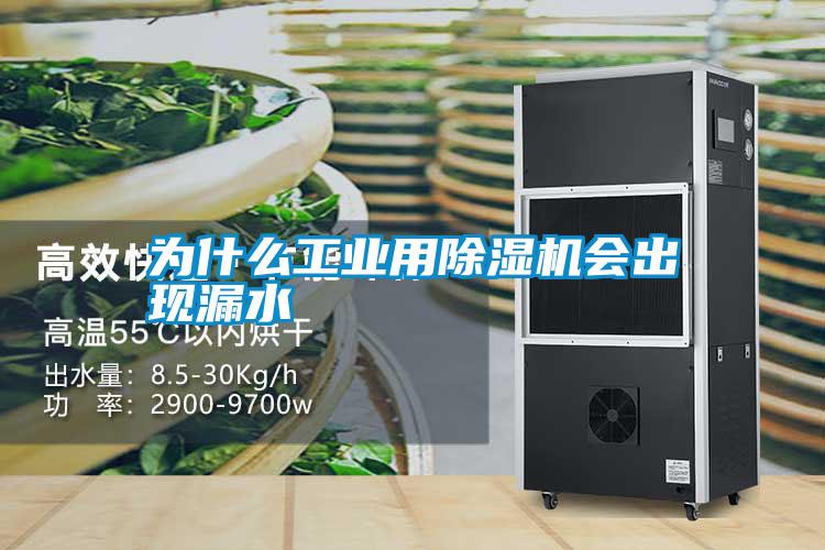為什么工業(yè)用除濕機(jī)會出現(xiàn)漏水