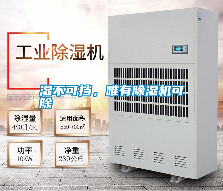 濕不可擋，唯有除濕機(jī)可除