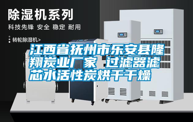 江西省撫州市樂安縣隆翔炭業(yè)廠家 過(guò)濾器濾芯水活性炭烘干干燥
