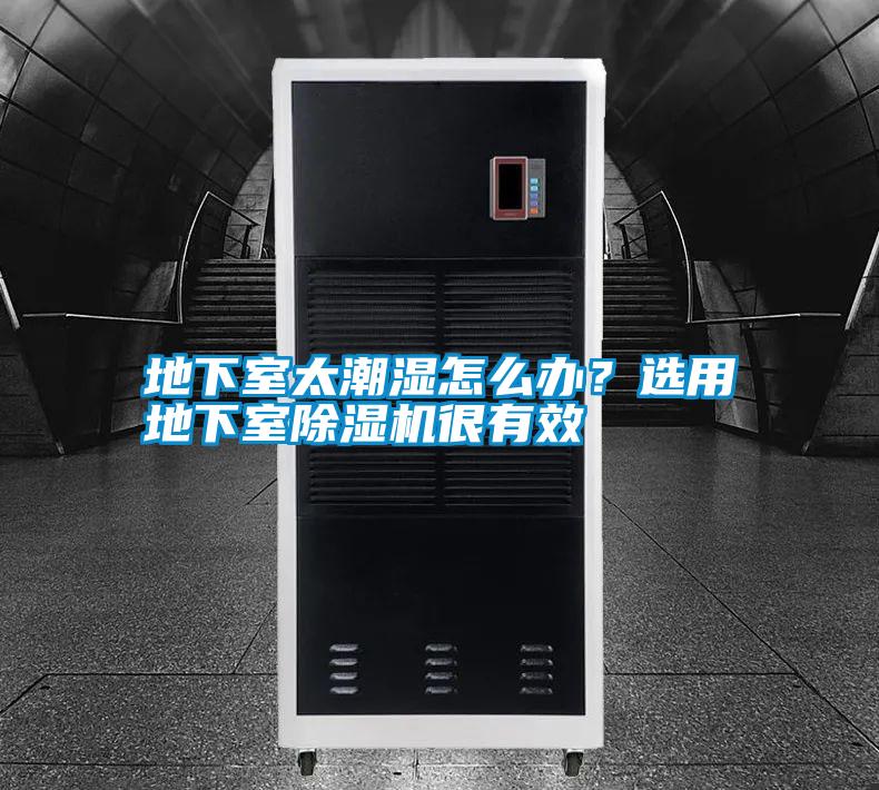 地下室太潮濕怎么辦?選用地下室除濕機很有效