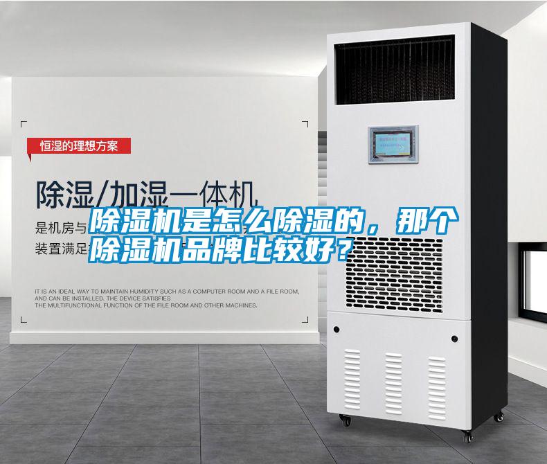 除濕機是怎么除濕的,那個除濕機品牌比較好?