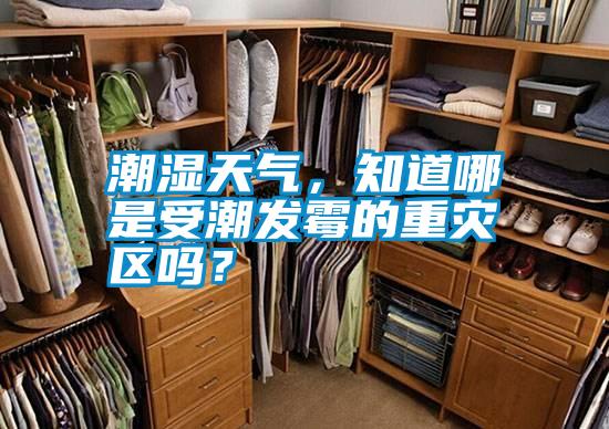 潮濕天氣，知道哪是受潮發霉的重災區嗎？