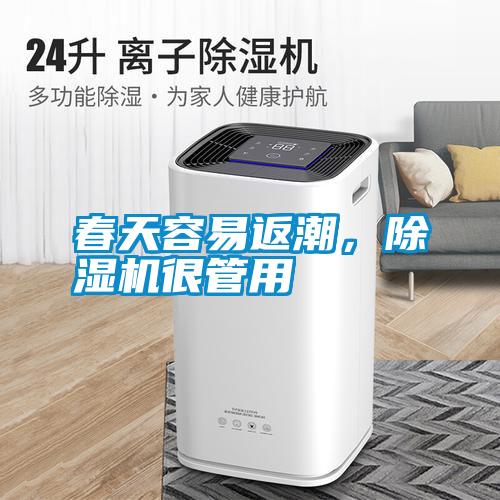 春天容易返潮，除濕機很管用