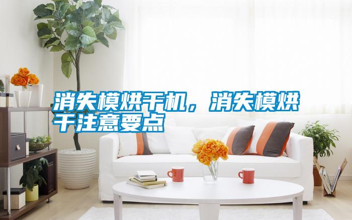 消失模烘干機(jī)，消失模烘干注意要點(diǎn)