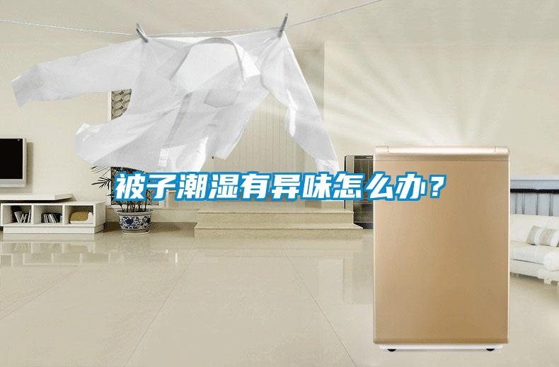 被子潮濕有異味怎么辦？