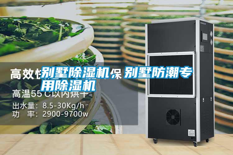 別墅除濕機，別墅防潮專用除濕機
