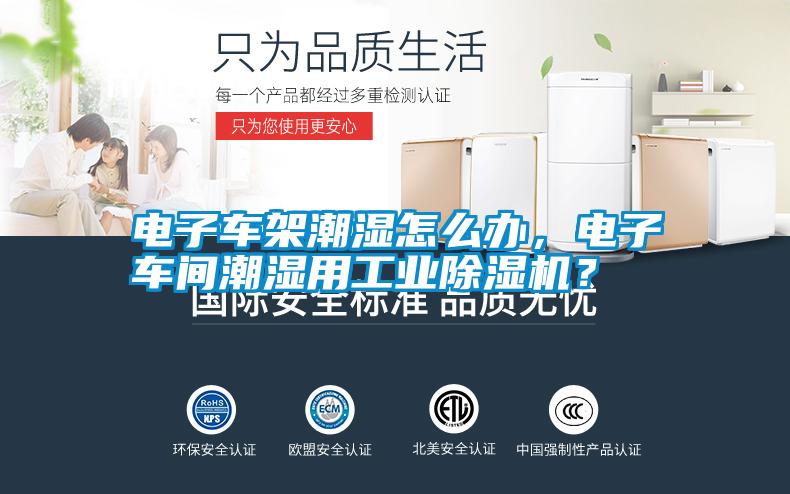 電子車架潮濕怎么辦,電子車間潮濕用工業除濕機?