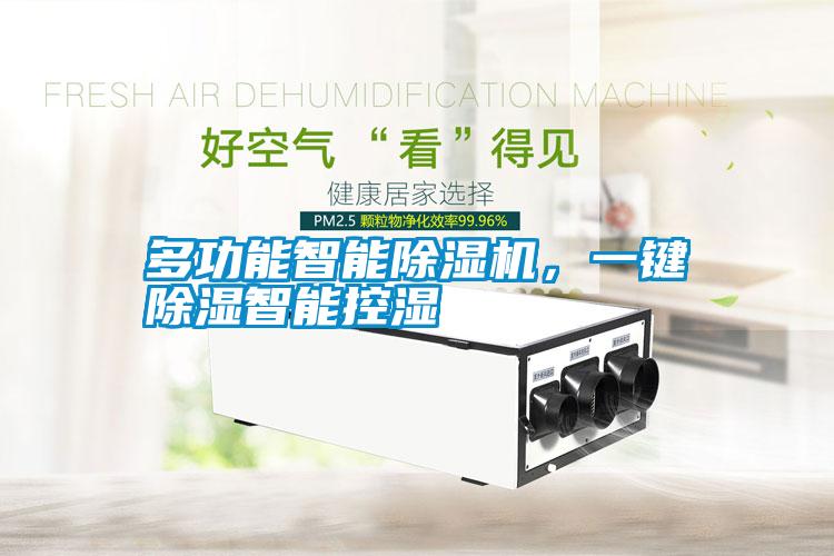多功能智能除濕機(jī)，一鍵除濕智能控濕