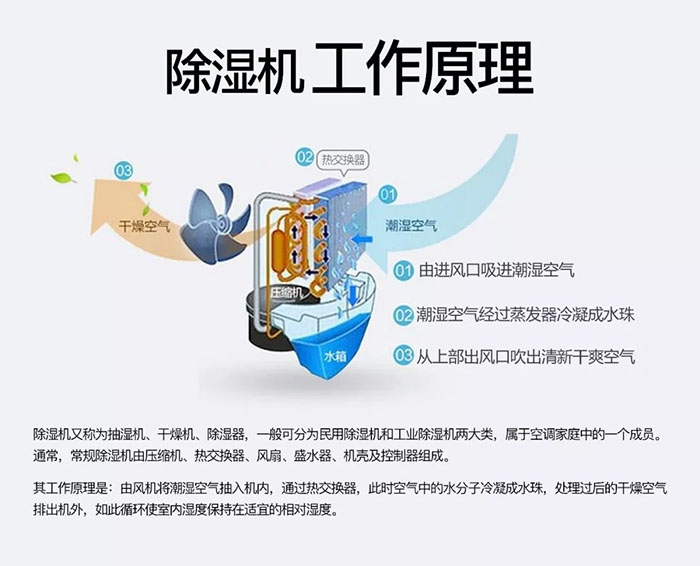 轉輪除濕機相比傳統除濕機勝在何處？