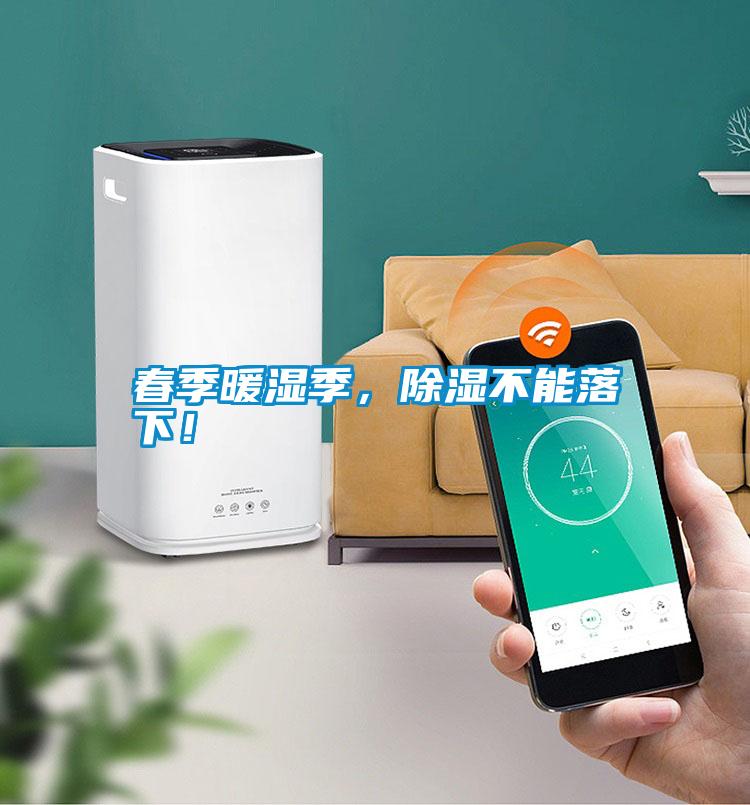 春季暖濕季，除濕不能落下！