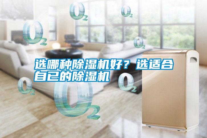 選哪種除濕機好？選適合自已的除濕機