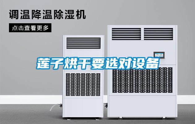 蓮子烘干要選對(duì)設(shè)備