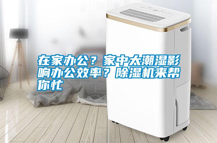 在家辦公？家中太潮濕影響辦公效率？除濕機(jī)來(lái)幫你忙