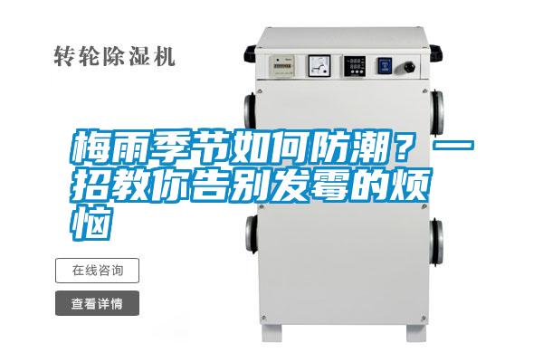 梅雨季節如何防潮？一招教你告別發霉的煩惱
