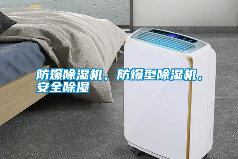 防爆除濕機,防爆型除濕機,安全除濕
