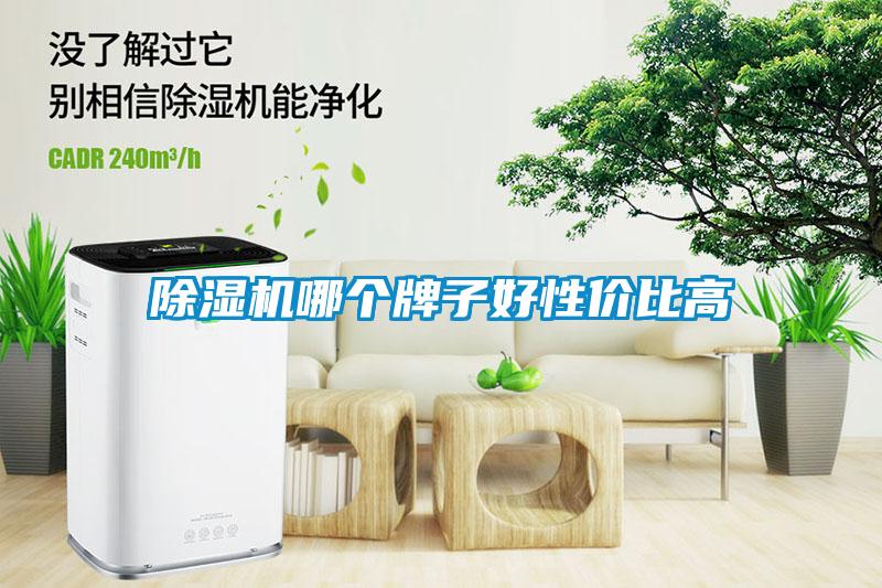 除濕機(jī)哪個牌子好性價比高