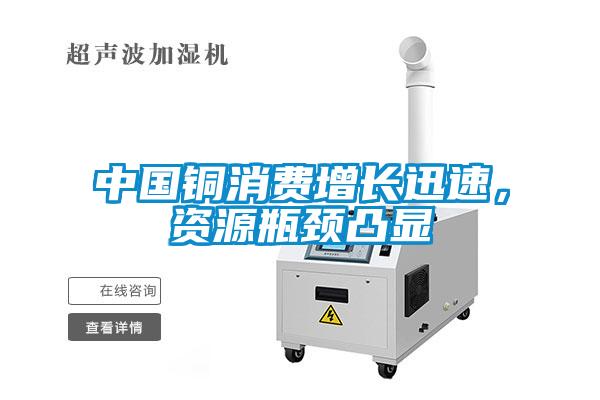 中國銅消費(fèi)增長迅速，資源瓶頸凸顯