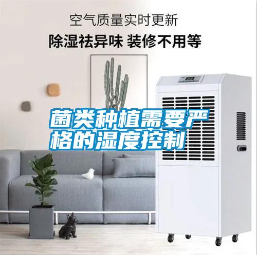 菌類(lèi)種植需要嚴(yán)格的濕度控制