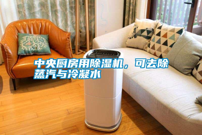 中央廚房用除濕機，可去除蒸汽與冷凝水