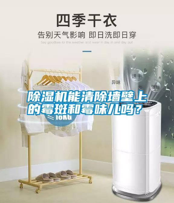 除濕機能清除墻壁上的霉斑和霉味兒嗎？