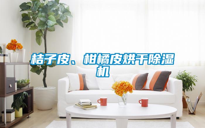 桔子皮、柑橘皮烘干除濕機