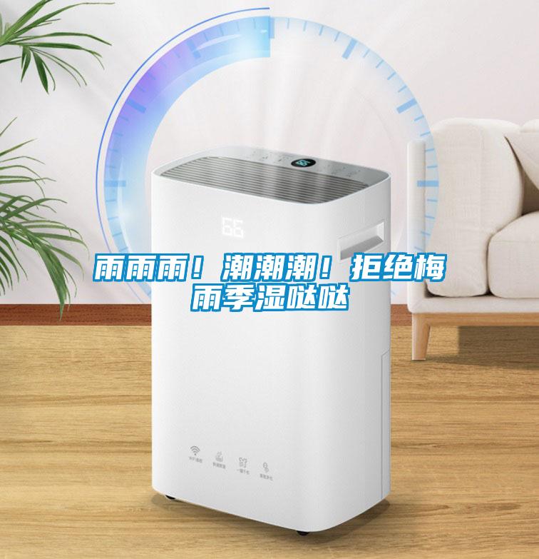 雨雨雨！潮潮潮！拒絕梅雨季濕噠噠