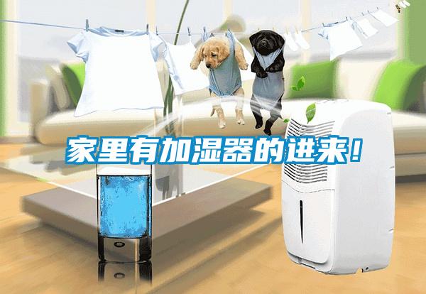 家里有加濕器的進(jìn)來(lái)！