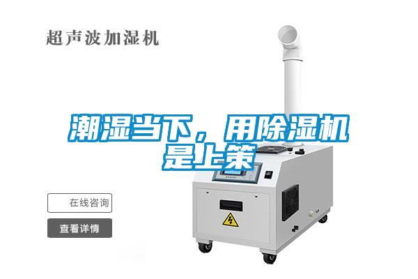 潮濕當下，用除濕機是上策