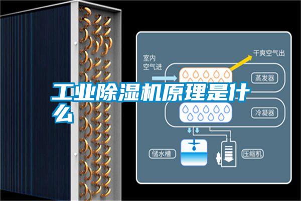 工業除濕機原理是什么