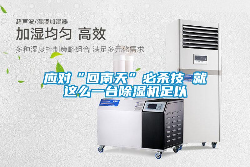 應(yīng)對“回南天”必殺技 就這么一臺除濕機(jī)足以