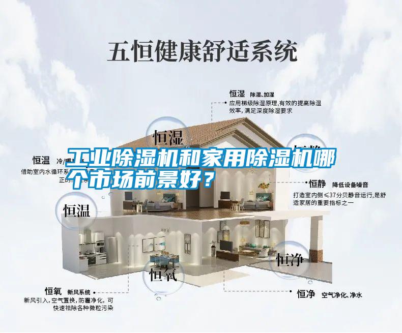 工業(yè)除濕機和家用除濕機哪個市場前景好？