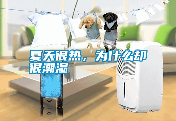 夏天很熱，為什么卻很潮濕