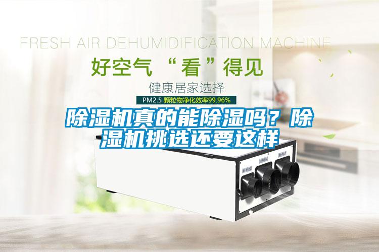 除濕機真的能除濕嗎？除濕機挑選還要這樣