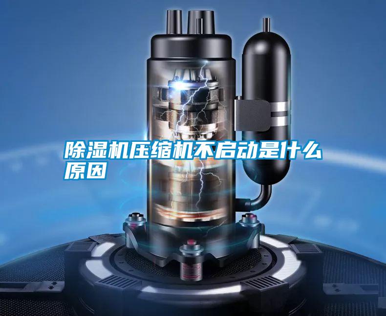 除濕機(jī)壓縮機(jī)不啟動是什么原因