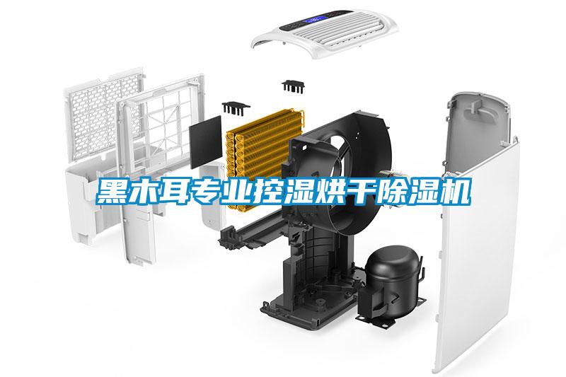 黑木耳專業(yè)控濕烘干除濕機(jī)