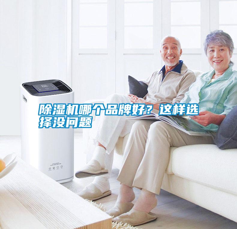 除濕機(jī)哪個(gè)品牌好？這樣選擇沒問題