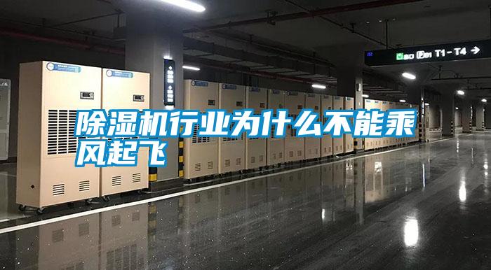 除濕機行業(yè)為什么不能乘風(fēng)起飛