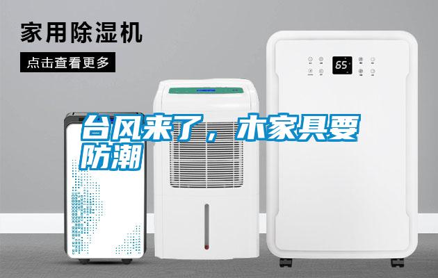 臺(tái)風(fēng)來了，木家具要防潮