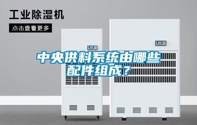 中央供料系統由哪些配件組成？