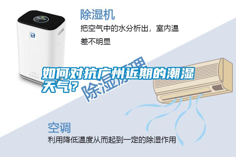 如何對(duì)抗廣州近期的潮濕天氣？
