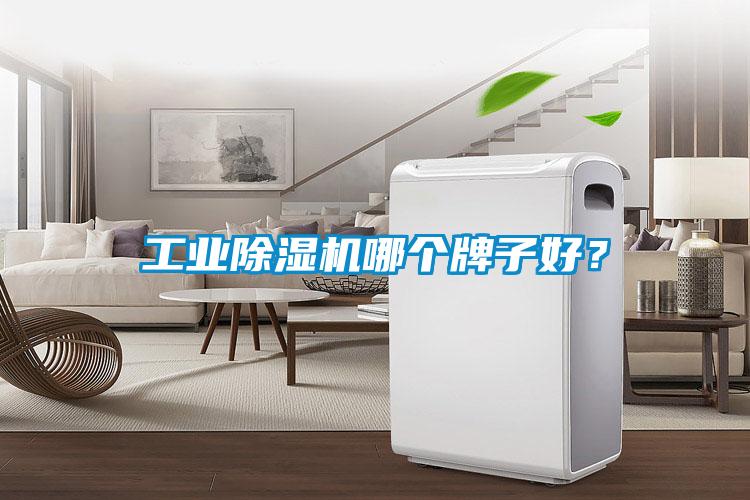 工業(yè)除濕機(jī)哪個(gè)牌子好？