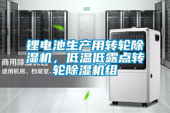 鋰電池生產用轉輪除濕機，低溫低露點轉輪除濕機組