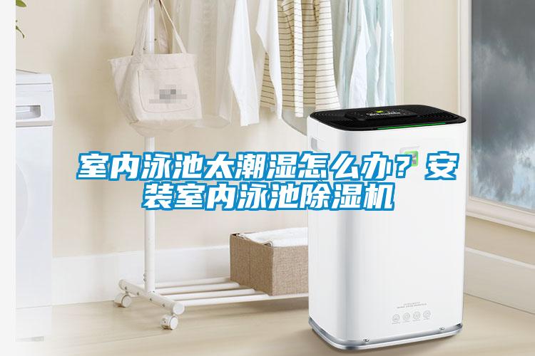 室內泳池太潮濕怎么辦？安裝室內泳池除濕機