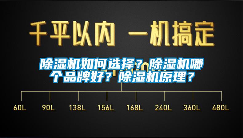 除濕機(jī)如何選擇？除濕機(jī)哪個品牌好？除濕機(jī)原理？