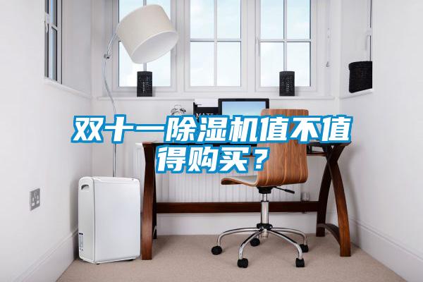 雙十一除濕機值不值得購買？