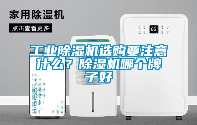 工業(yè)除濕機選購要注意什么？除濕機哪個牌子好